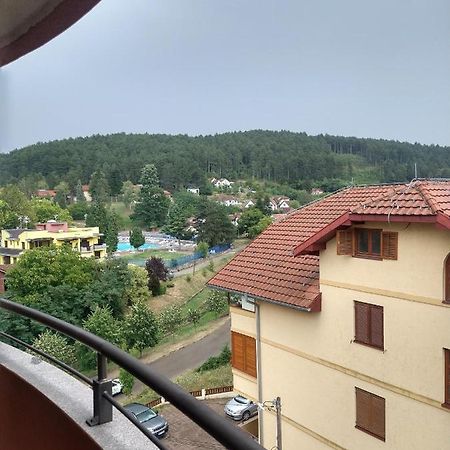 Apartman Ninic Vrnjačka Banja Exterior foto